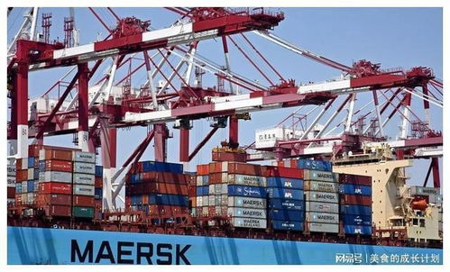著名国际问题专家 中国应与俄罗斯拉开距离,不能站西方对立面