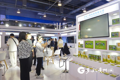 多彩贵州网 2024服贸会贵州馆 新科技与非遗闪亮登场