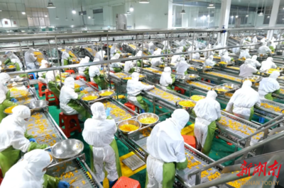湖南果秀食品:“同线同标同质”助推农产品进入广阔内外贸市场