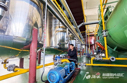 新疆 粮油深加工企业依托口岸谋发展