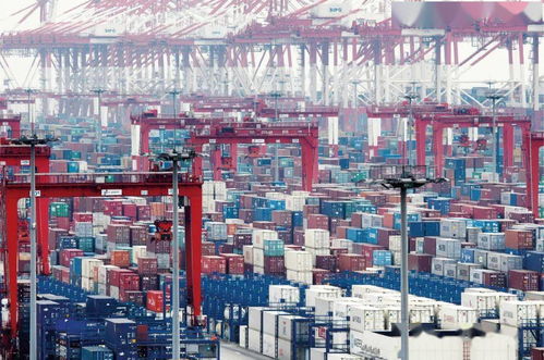 家人说加拿大疫情不靠谱,给找了一个年薪50万的工作,我该回流吗
